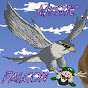 Mystic Falcon