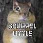 Squirrel Little