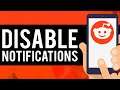 How To Disable Reddit Notifications in Reddit App (2021)