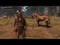 This Land Is My Land Gameplay PC GAME Early Early Access