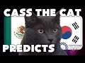 2020 Olympic Games Football Quarter Final - Mexico vs South Korea - Cass the Cat Predicts