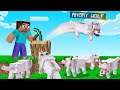 BREAK BLOCK = ANGRY WOLF Spawns! (run)