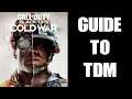 Complete Beginners Guide Tutorial: Getting Started With TDM Team Deathmatch In COD Call Of Duty
