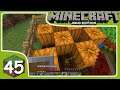 Minecraft Vanilla Survival Ep 45: Farm di Zucche e Meloni!