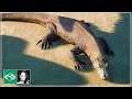 🦁 Pygmy Hippopotamus, Komodo Dragon and Thomson’s Gazelle | Planet Zoo Update | Deluxe edition |