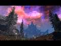 SkyrimSE: Rockman The Dragonborn; #23 A Tour Of Sovngarde