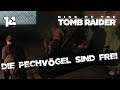 Ⓥ Rise of the Tomb Raider - Die Pechvögel sind frei #14 - [Deutsch] [HD]