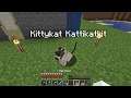 How to give your Cat a name - Minecraft
