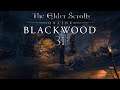 Let's Play ESO - Blackwood [Blind] [Deutsch] Part 31 - Der unmögliche Revus