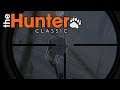 The Hunter Classic #01 - Die Jagd im Hochsommer - The Hunter