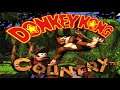 Bonus Room Blitz (Snow Barrel Blast) (Beta Mix) - Donkey Kong Country