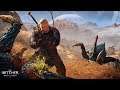 How Can You Not Want More Of The Witcher 3? The Witcher 3: Wild Hunt Gameplay E16