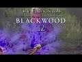 Let's Play ESO - Blackwood [Blind] [Deutsch] Part 12 - Ein Magier auf dem Wege