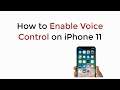 iPhone 11 : How to Enable Voice Control on iPhone 11