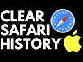 How to Clear Safari History & Website Data - iPhone & iPad -2021