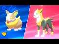 HOW TO Evolve Yamper into Boltund in Pokémon Sword and Shield