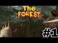 The Forest #1 | Building My Tree House