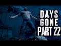 Days Gone - Playing All Night - Walkthrough Gameplay Part 22