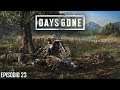 DAYS GONE ep. 23: "Consumidos" |Ps4 Pro|