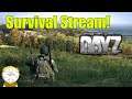 Dayz Survival Stream