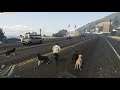 GTA 5 - Dogs as Bodyguards 1.3