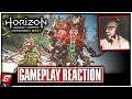 Horizon Forbidden West PS5 Gameplay Reaction! - Aloy New Gameplay (HORIZON 2 PS5 GAMEPLAY REACTION)