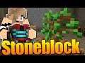 NOVÁ SÉRIE Z KAMENÉHO MODPACKU!😱🔥 Minecraft Stoneblock 2 #1 w/Makousek