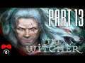 The Witcher | #13 | Agraelus | CZ Let's Play / Gameplay [1080p60] [PC]