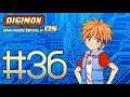 Digimon World DS Playthrough with Chaos part 36: Strength Training