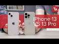 iPhone 13 vs 13 Pro: Which is the best iPhone?