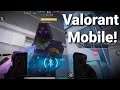 Project M - PRO Gameplay - Valorant Mobile (21 Kills)