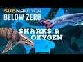 Sharks & Rebreather S2-E3 Subnautica: Below Zero