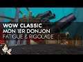 WoW Classic FR : mon 1er Donjon, Fatigue & Rigolade 😄