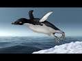 PROOF THAT PENGUINS CAN FLY