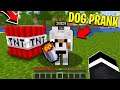 TROLLING AS A DOG IN MINECRAFT!? *GONE WRONG* - Minecraft Trolling Video