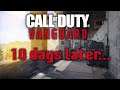 Call of Duty Vanguard 10 Days Later... COD VANGUARD REVIEW