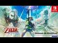 Como Conseguir Todas las Gemas de Gratitud The Legend Of Zelda Skyward Sword HD