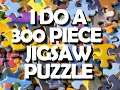 I do a 300 piece JIGSAW PUZZLE
