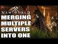 Merging Entire Server Sets Into One - New World