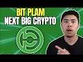 Bit Plam Is The Next Big Crypto Project