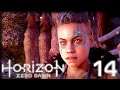 Mother’s Crown – Horizon Zero Dawn + Frozen Wilds PS4 Gameplay – [Stream] Let's Play Part 14