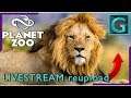 Planet ZOO 🔴 LÖWEN-EINZUG mit Yankee! ► Livestream Reup #9