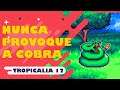 Voltando as origens - Tropicalia #12