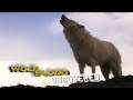 Communication | Wolfblood Uncovered