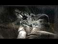 Fatal Frame 2 - Part 1 - the night of many spooks