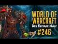 Der Aufstieg eines Champions || World of Warcraft [#246]
