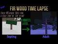 Fir Wood Time Lapse - Lumber Tycoon 2