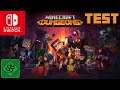 Minecraft Dungeons  TEST  |  Nintendo Switch