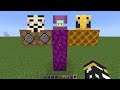 what if you create a SHULKER BEE HACKER in MINECRAFT