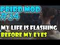 Final Fantasy X Pbird Mod Part 34 My Life Is Flashing Before My Eyes
